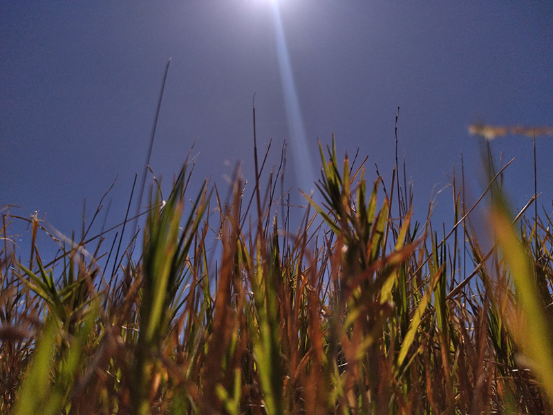 Photograph of Circular Grass Field